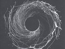 DAWN OF MIDI-DYSNOMIA-VINYL LP2 ERASED TAP NEW