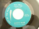 DEBBIE DEAN WHY AM I LOVIN' YOU / same ootp 026....... 45rpm