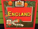ENGLAND - Garden Shed LP UK IMPORT 1977 Prog Rock Arista