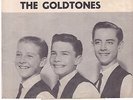 Surf 45 Pic Sleeve ONLY The Goldtones 