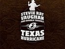 AP | Stevie Ray Vaughan - Texas Hurricane 6-LP-Box (200g-edition) NEU