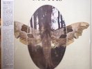 MOTHS - MOTHS 1970 UK UNDERGROUND MELLOW ACID FOLK w/ FLUTE & BONGOS SEALED LP