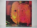 ALICE IN CHAINS JAR OF FLIES & SAP 1994 LP W/INSERT Sealed