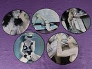 MADONNA Erotica RARE MOMENTS LP VOLUME 1-5 Complete Picture Disc SEX BOOK mint