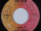 Northern Soul 45 LITTLE JEWEL I Want To TAY-STER HEAR