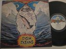 STEVE HILLAGE (chitarra dei Gong) - FISH RISING - STAMPA LAMINATA UK - LP VINILE