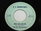 THE D.C. MAGNATONES 