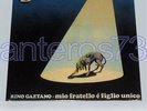 RINO GAETANO 