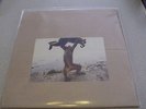 SHELLAC -  Dude Incredible - 180g LP Vinyl & CD  // New // 2014 /// Steve Albini