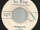 ROCKABILLY TITTYSHAKER INSTROS-- AL KNIGHT & Y-DELLS  -HEAR BOTH - JAY WING