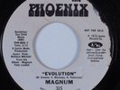 Funk 45 MAGNUM Evolution PHOENIX HEAR