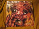 DEMOLITION HAMMER tortured existence VINYL LP (white #200) exodus forbidden