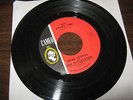Dave Appell & The Aapplejacks - She Loves You / Bongo Beach on Cameo