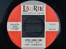 The Jarmels - Little Lonely One (James Brothers) * Laurie 3085
