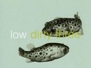 Low+Dirty Three - In the Fish Tank #7