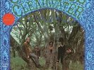 Creedence Clearwater Revival - Ccr ( Creedence Clearwater Rev (2015, Vinyl NEUF)