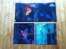 Wolves In The Throne Room 