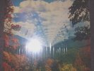 Tame Impala INNERSPEAKER 1st PRESS MODVL128 45 RPM Unplayed.