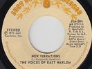 Funk Soul 45 - Voices Of East Harlem - New Vibrations - Just Sunshine - VG++ mp3
