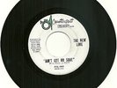 The NEW LIME,AIN'T GOT NO SOUL, ORIGINAL 45 RPM on COUNTERPART Label, EXCELLENT