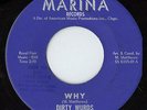 DIRTY WURDS -WHY/TAKIN' MY BLUES AWAY-MONSTER GARAGE MARINA 45 HEAR IT LISTEN