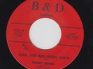 TOMMY FISHER Rock And Roll Robin Hood 45 on B&D very rare rocker M- HEAR