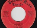 Modern Soul Funk 45 - Larry McGee Revolution - The Burg - Boogie Band - mp3