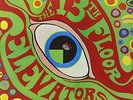 Psychedelic Sounds Of - 2 DISC SET - 13th Floor Elevators (2014, Vinyl New)