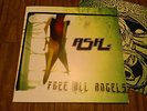 Ash - Free All Angels LP w/ Inner // UK Infectious Records INFEC 100LP