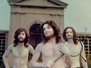 LE ORME Collage (Ltd. ed. transparent vinyl LP Italian Prog