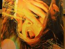 THE FLAMING LIPS 