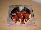 THE BEATLES : ABBEY ROAD : USA LP PICTURE DISC CAPITOL SEAX-11900