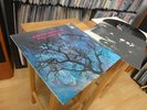AMON DÜÜL PHALLUS DEI MINT 1969 w/ POSTER KRAUTROCK MONSTER