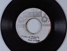 Reggae 45 ROD TAYLOR His Imperial Majesty SUNSHOT dub plate/acetate HEAR