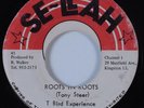 Reggae 45 T BIRD EXPERIENCE Roots In Roots SE-LLAH HEAR