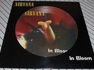 NIRVANA In Bloom 12