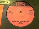 THE SORROWS - YOU'VE GOT WHAT I WANT - ORIGINAL 1966 7