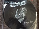 Blink 182 I Miss You Vinyl Picture Disc Rare 7