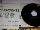 Descendents Ride the Wild Hectic World