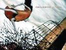 Circa Survive Juturna Hot Topic Vinyl *Sealed