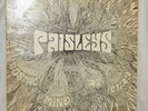 The Paisleys Cosmic Mind at Play Vintage Record Vinyl Music Rare 1970 (3462)
