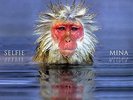 Mina - Selfie LP Vinile GSU