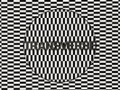 Transverse (CD Included) [VINYL] Carter Tutti Void Vinyl