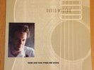 David Wilcox - How Did You Find Me Here LP Original MINT 1989 Folk Super Rare