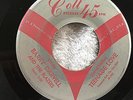 Barry Darvell & Blazers – Teenage Love / Gereonimo Stomp  45RPM Colt 45 104 Rock