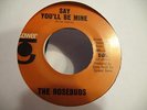 ROSEBUDS GREAT NORTHERN SOUL 45 TOWER 105 LISTEN SAY YOU'LL BE MINE