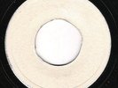 rare UK blank - THE TWO SPARKS - When We Were Young / Run Away Girl
