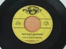 TONY & THE DAYDREAMS Why Don't You Be Nice/I'll Never Tell 45 Doo Wop HEAR