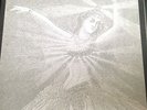 Neutral Milk Hotel Vinyl Box Set - Rare, Limited Alternate Cover Variation 1/200
