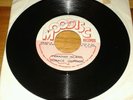 Horace Johnson Paradise island 7